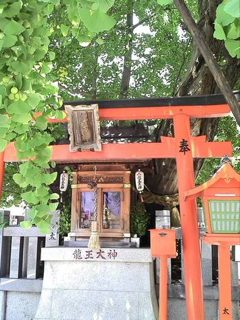 龍王神社 龍王神社